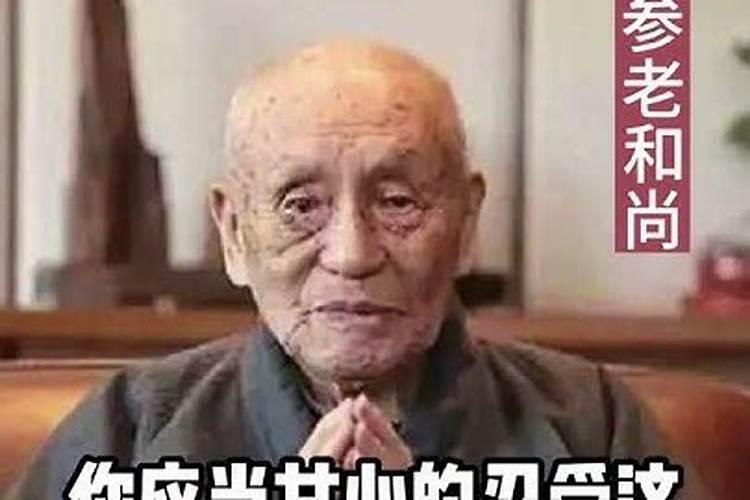 1987属兔2024年本命年可怕进入本命年要注意什么