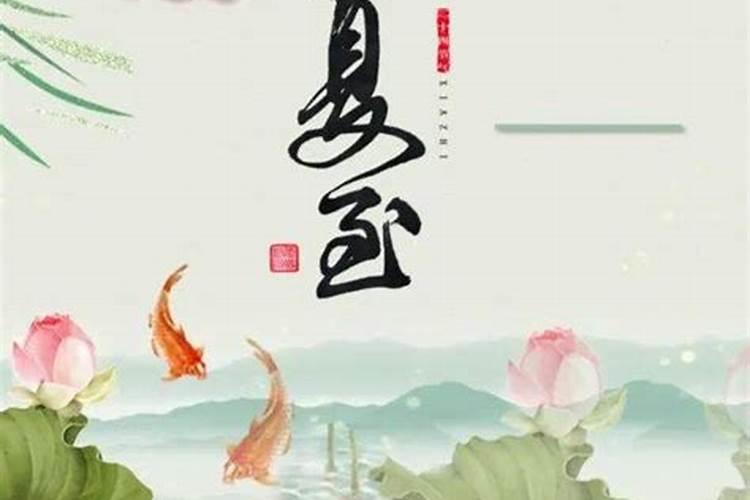 幼儿园小班二十四节气夏至的教案