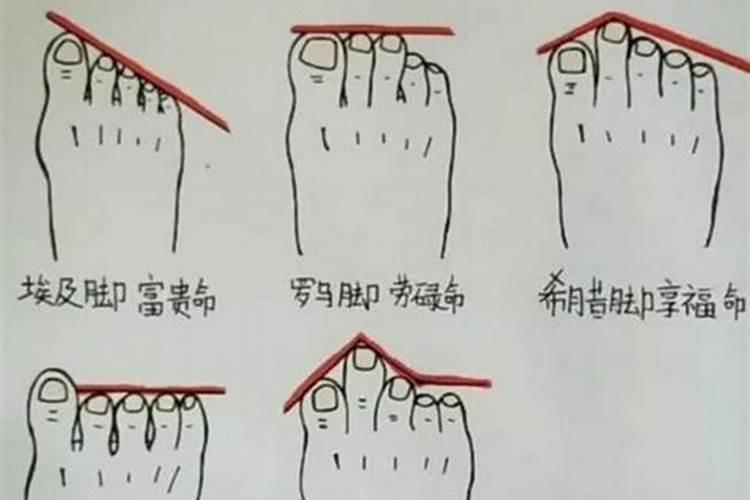 五个脚趾长短看命运具体分析