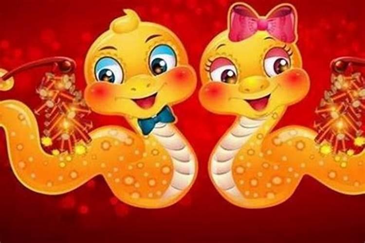 男兔女蛇属相合不合