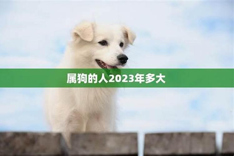 哪些梦境表明你要升职加薪？