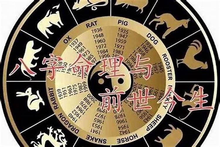 什么人养狗运气好