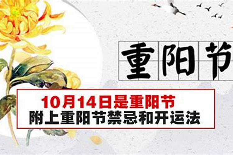 1947年属猪的是什么命