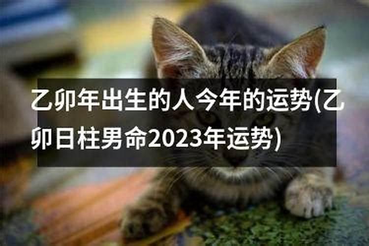 梦到前女友找我复合有什么预兆