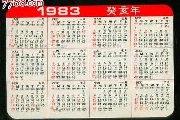 1983年属猪五行属什么命,1983年属猪的是什么命农历5月5生 金木百度...
