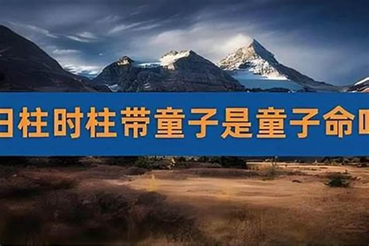 82年的狗2024年9月份的运势