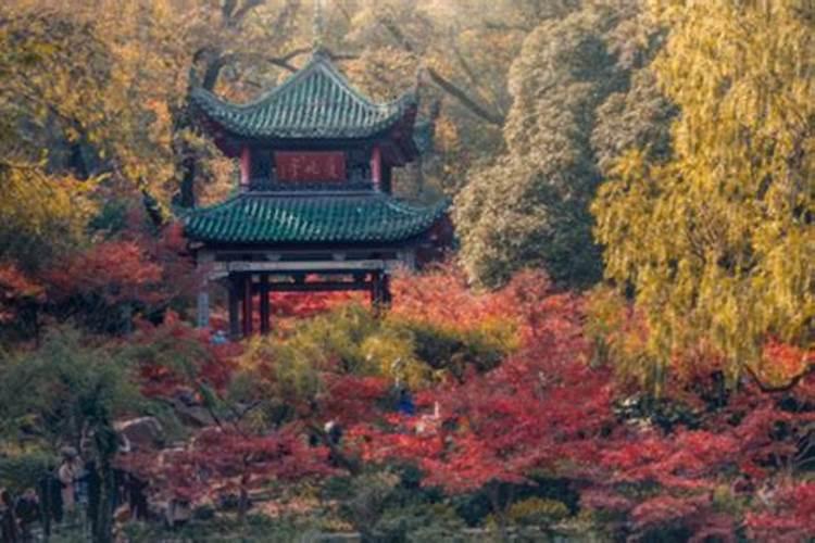湖南最好吃的小吃什么？谁可以介绍一下