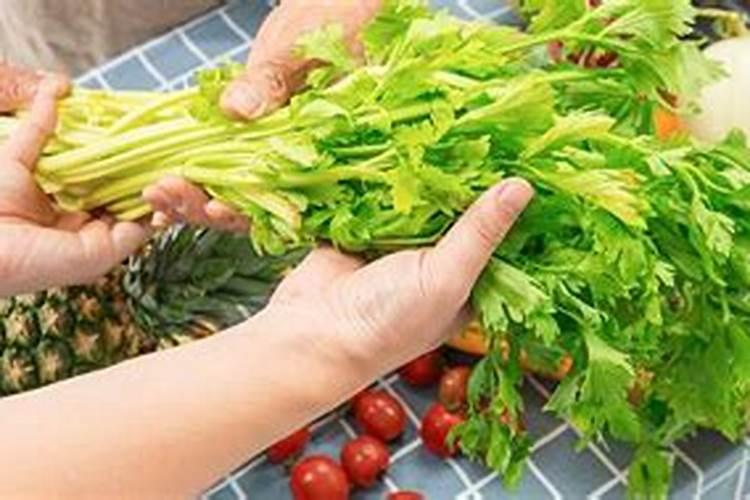梦见菜园里的菜长的很旺盛