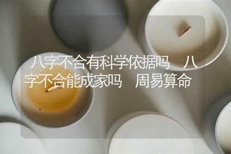 龙虎属相结婚怎么样