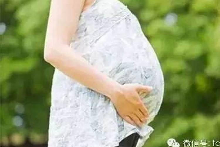 男属龙和女属鼠合不合？
