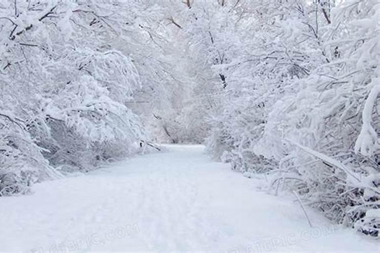 梦见大雪天到处白茫茫是什么意思
