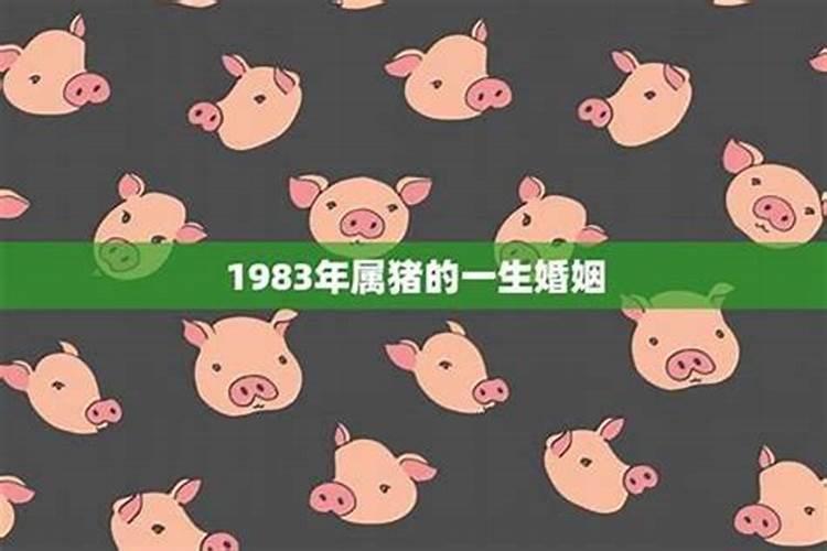 1983年属猪人三大坎