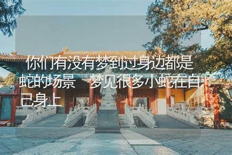 梦见我我老公和亲表妹暖味的预兆