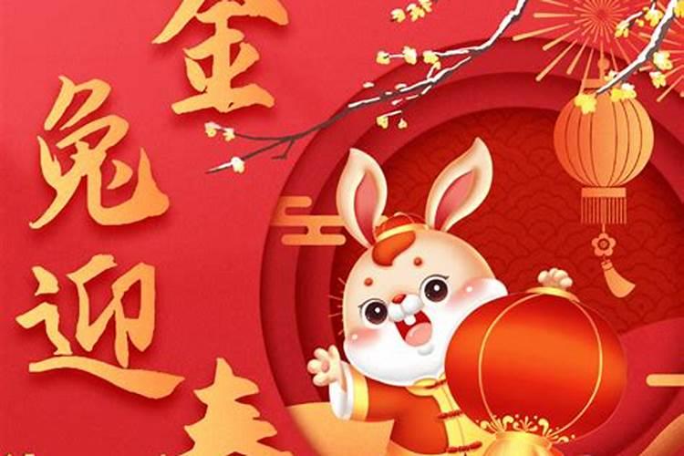 兔宝宝有福气的乳名