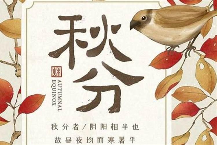 秋分是第几个节气