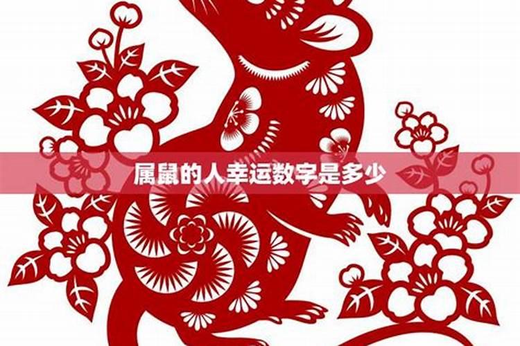 如何用易经测算自己的幸运号码是什么？