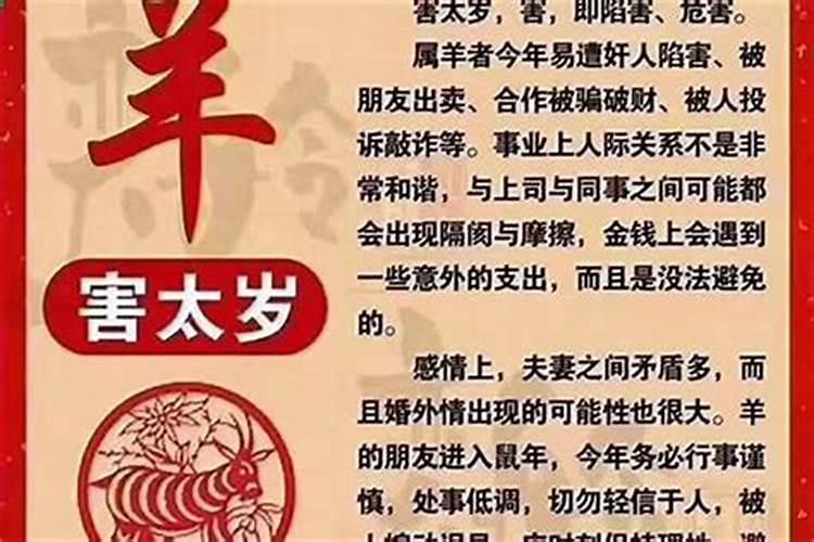 女人梦见大海是什么预兆