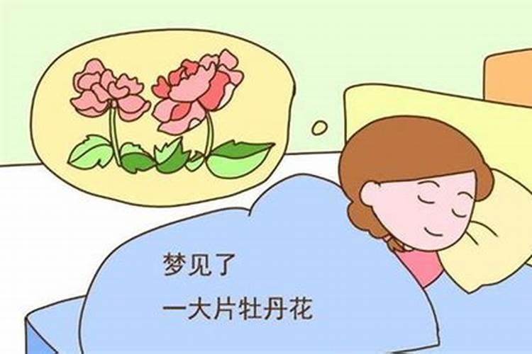 做啥梦预示将要怀孕了
