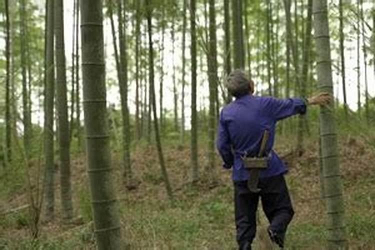 男人八字过硬女人八字过弱怎么办