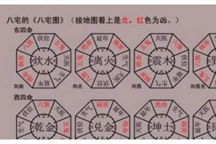 年命的意思是什么