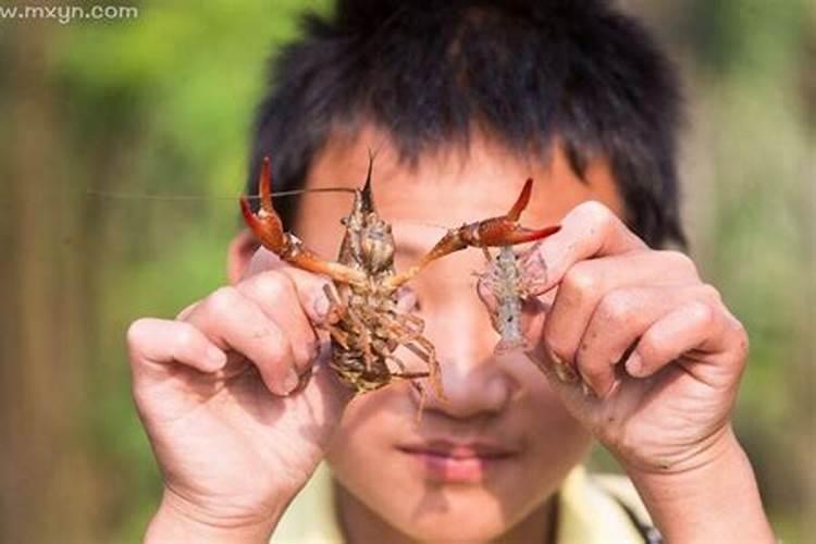 梦见钓龙虾是怎么回事,梦到钓龙虾是什么预兆？