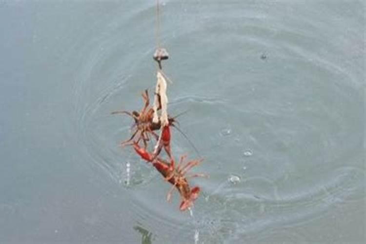 梦见钓龙虾是怎么回事,梦到钓龙虾是什么预兆？