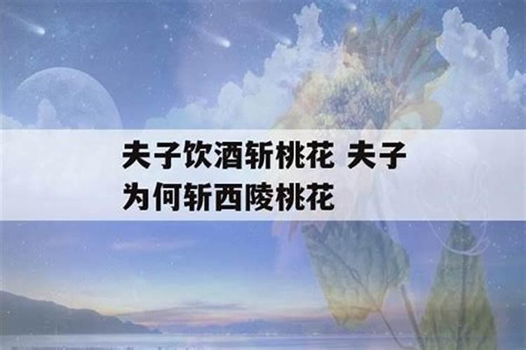 那年春,我把桃花切一斤是什么意思