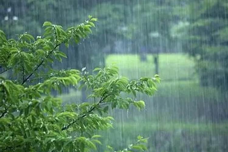 孕妇梦见下大雨涨水是什么征兆