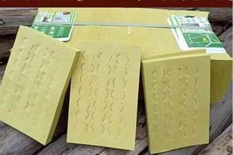清明节买哪些祭祀用品