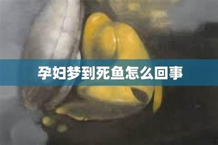 孕妇梦见很大的鱼预示着什么？有什么特殊意思？