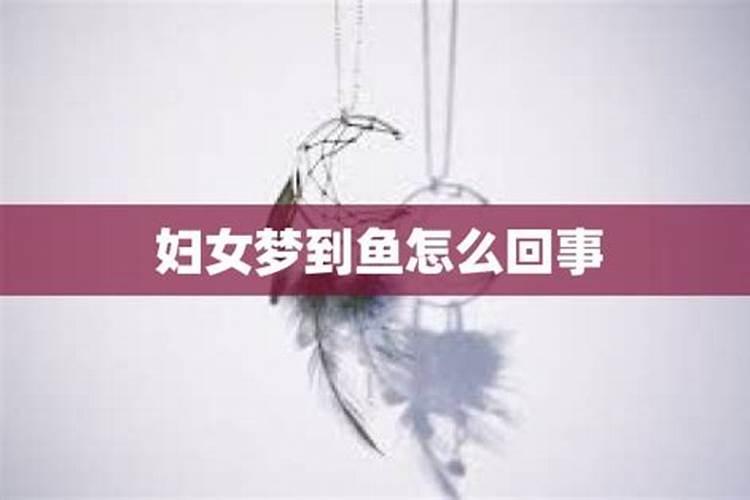 怀孕做梦梦到鱼有什么征兆
