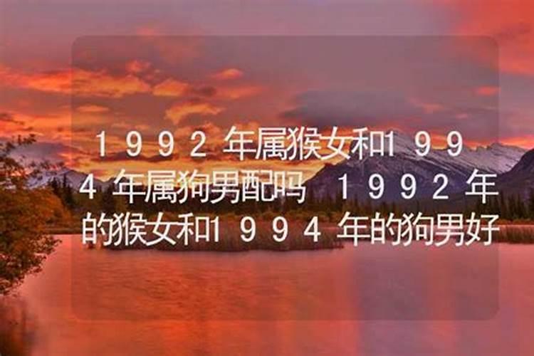 92猴94狗八字怎么样,92猴和94狗生什么宝宝