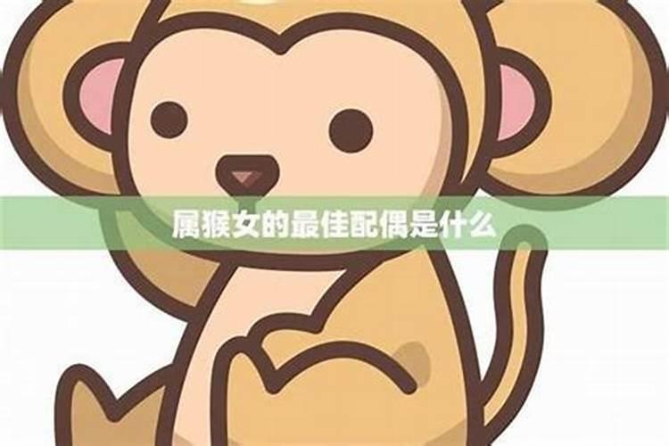 第一运程2023年10月15日十二生肖运势解析