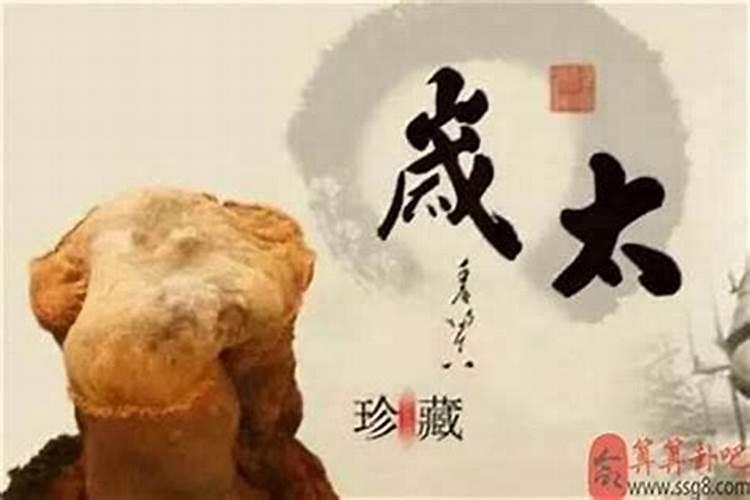 1997年属牛姻缘在哪年最旺盛牛和猪在一起对谁不利