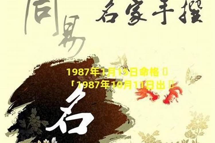 5月18号属狗出生日的命运解析