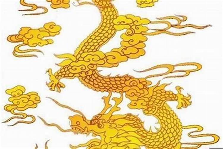 2000年属龙和1995年属猪配对 关系舒服好相处