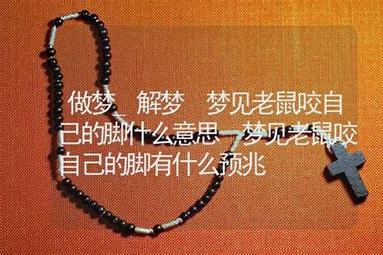 梦见老鼠咬脚什么预兆