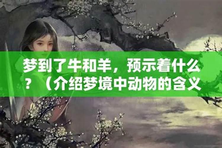 女人梦见牛最准的预兆