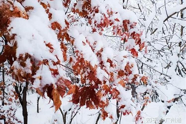 冬至是纪念谁吗 冬至有什么风俗