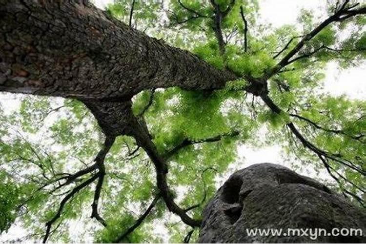 寒衣节烧纸有什么讲究