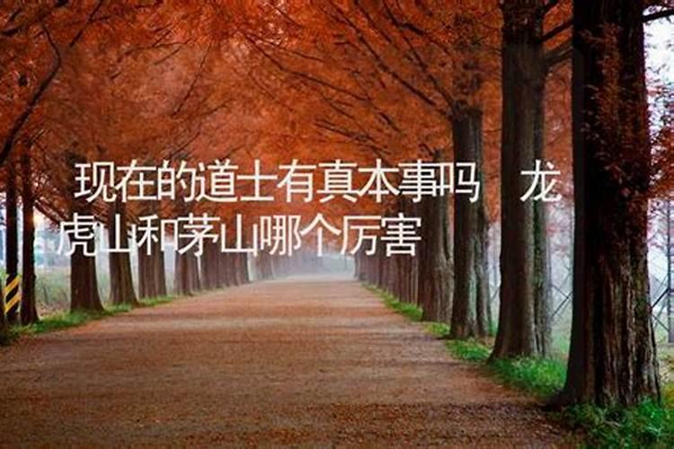 道士是自私自利的人吗？
