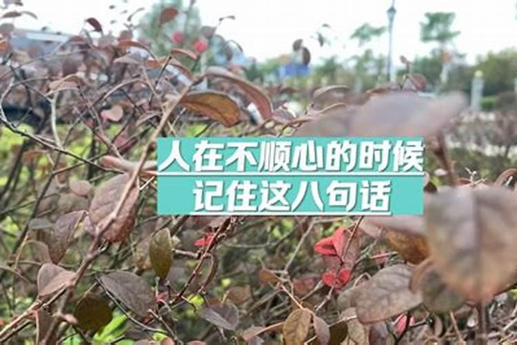 2025年躲不过桃花劫的生肖女
