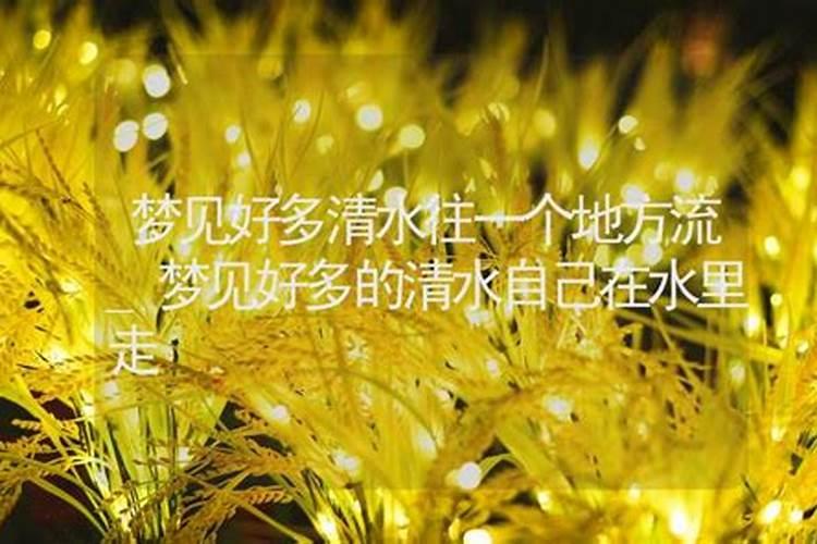 梦见水往家里流的预兆