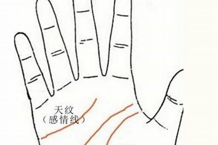 手掌哪条是生命线,爱情线,事业线？
