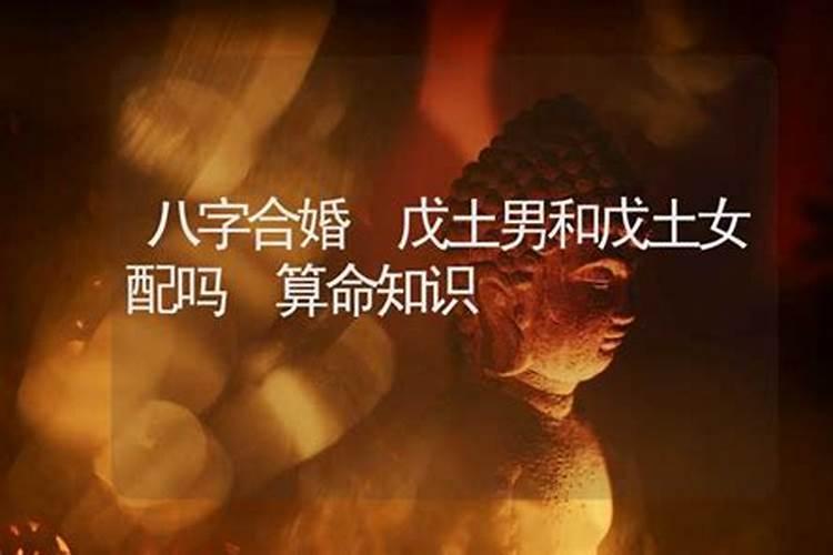生肖鼠1972年2025年运势如何 生肖鼠1972年2025年全年运势