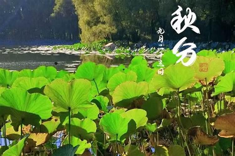 梦见和前夫一家生活在一起的预兆
