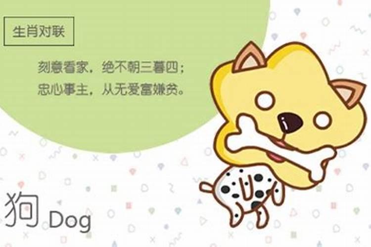 1995年12月14日(农历)出生的是什么星座？