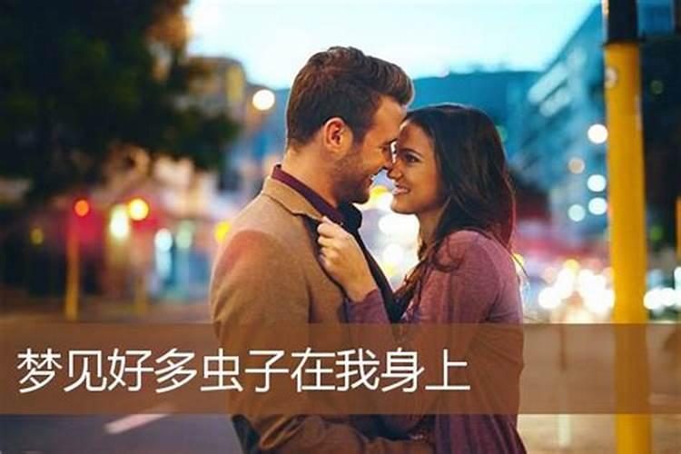 梦见知了蝉有什么征兆