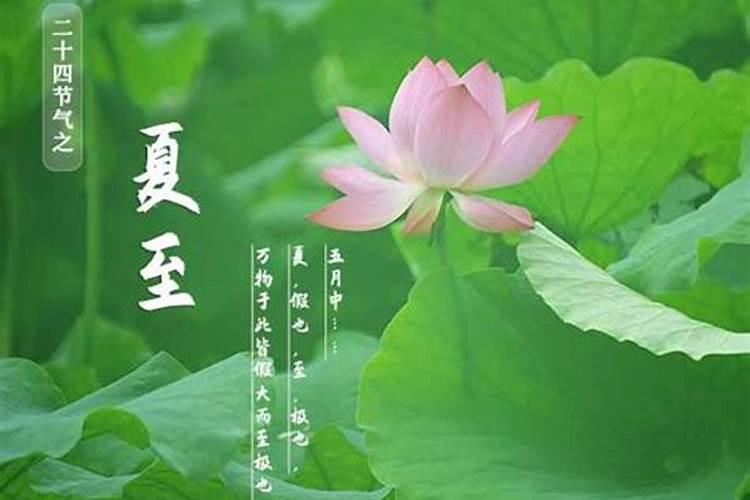梦见爸爸买新车了的预兆