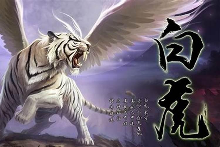 什么是降头啊